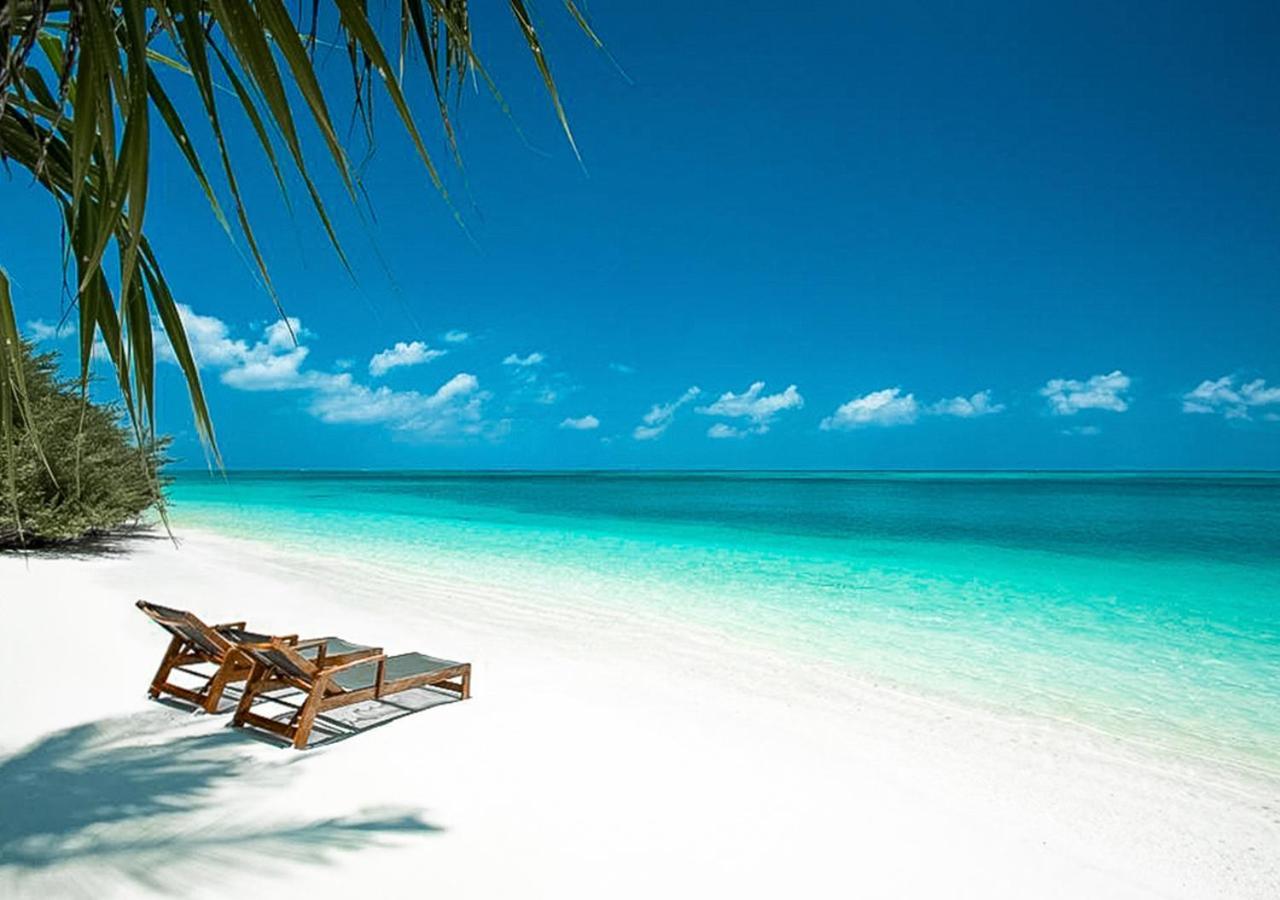 Tropical Tree Otel Fehendhoo Dış mekan fotoğraf