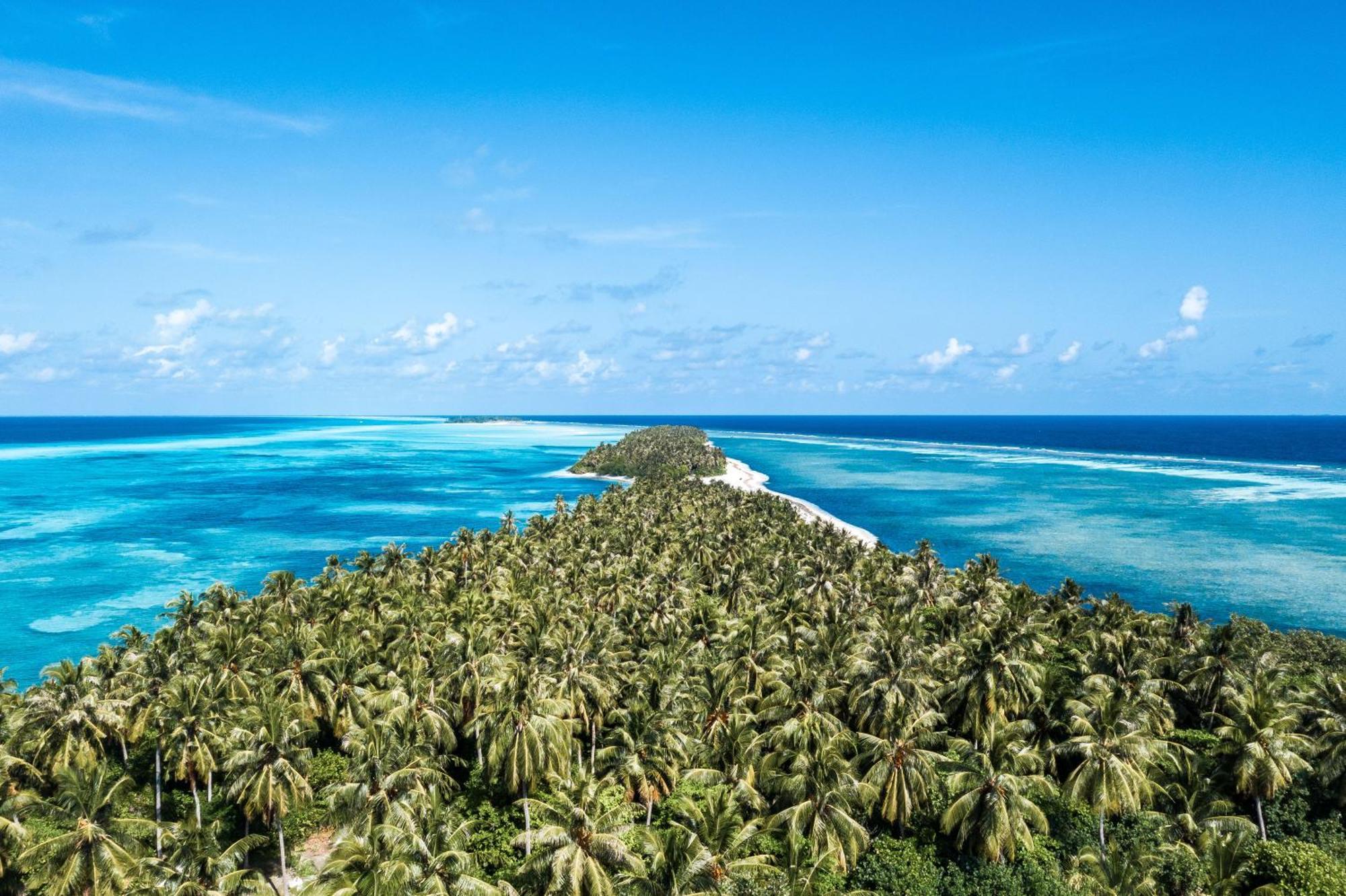 Tropical Tree Otel Fehendhoo Dış mekan fotoğraf