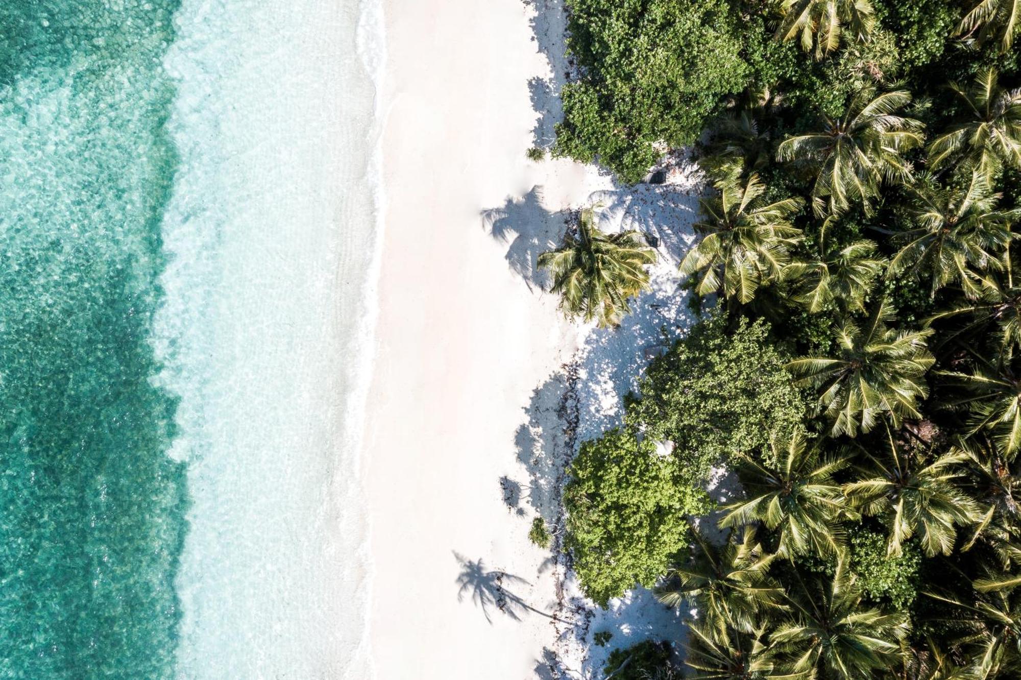 Tropical Tree Otel Fehendhoo Dış mekan fotoğraf
