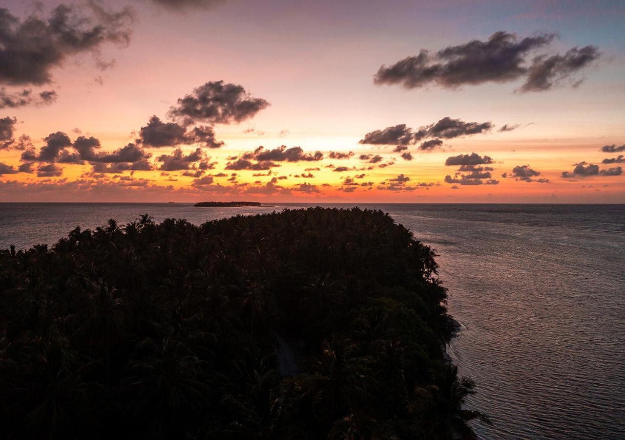 Tropical Tree Otel Fehendhoo Dış mekan fotoğraf