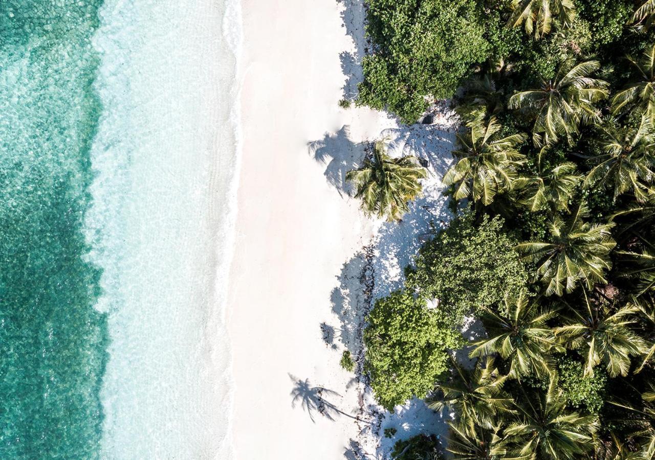 Tropical Tree Otel Fehendhoo Dış mekan fotoğraf