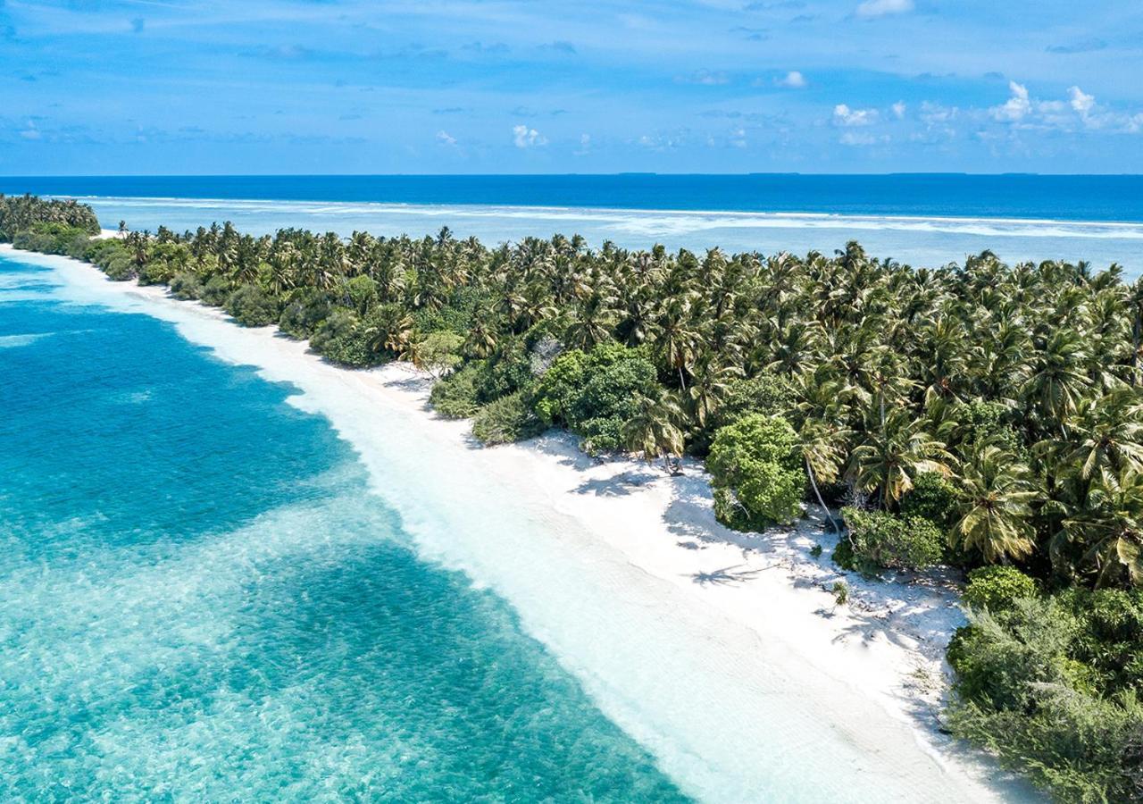 Tropical Tree Otel Fehendhoo Dış mekan fotoğraf